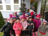 DSCN3108.jpg