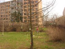 DSCN9717.JPG