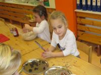 IMG_2869.jpg