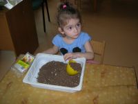 DSCN5362.jpg