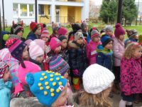 DSCN3085.jpg