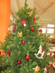 DSCN3190.jpg
