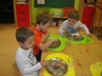 DSCN2916.jpg