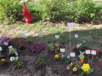 DSCF3270.jpg