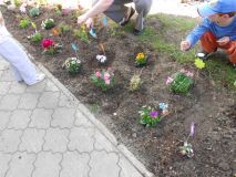 DSCN0525.JPG