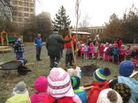 IMG_2749.jpg