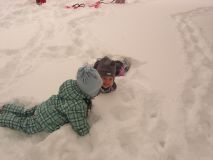 DSCN9519.JPG