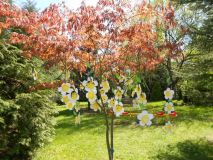 DSCN1105.JPG
