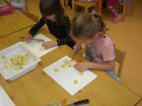 DSCN3768.jpg