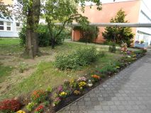 image05.jpg