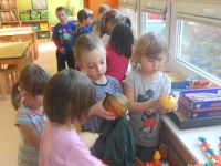 DSCN1478.jpg