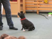 IMG_3306.jpg