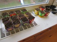 IMG_0973.jpg