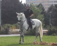 DSCF8821.jpg