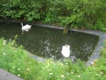 image07.jpg