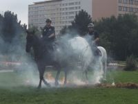 DSCF8847.jpg