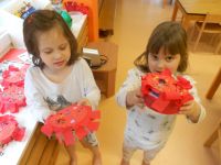DSCN3534.jpg