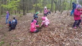 20170426_173826.jpg