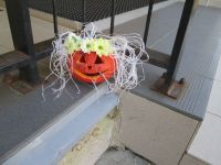 IMG_0048.jpg