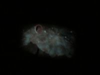 IMG_3891.jpg
