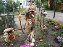 image06.jpg