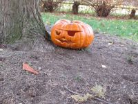 IMG_0045.jpg