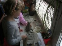 DSCN4085.jpg