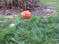 IMG_0062.jpg