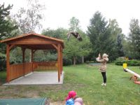 IMG_1865.jpg