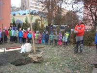 DSCN4914.jpg