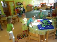DSCN1322.jpg