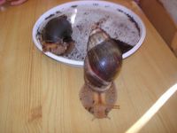 DSCN3247.jpg