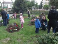 DSCF7459.jpg