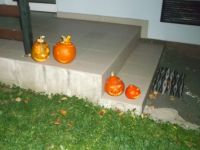 DSCF1605.jpg
