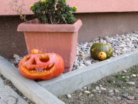 IMG_0046.jpg