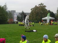 DSCN1427.jpg