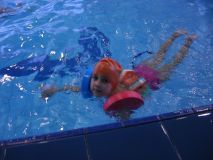 DSCN9562.JPG