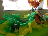 DSCN2113.jpg