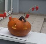 DSC00489.jpg