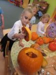 IMG_2298.jpg