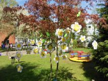 DSCN1104.JPG