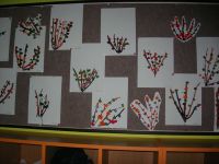DSCN2019.jpg