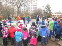 IMG_2747.jpg