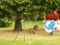 DSCN1550.jpg