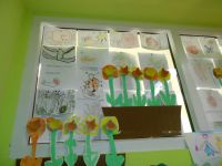 DSCN4094.jpg