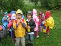 image06.jpg