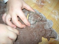DSCN2931.jpg