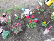 DSCN0524.JPG