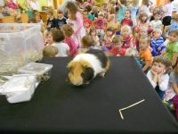 DSCN4832.jpg