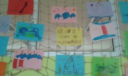20160629_131624.jpg